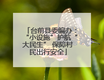 台前县委编办：“小设施”护航“大民生” 保障村民出行安全