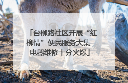 台柳路社区开展“红柳情”便民服务大集 电器维修十分火爆