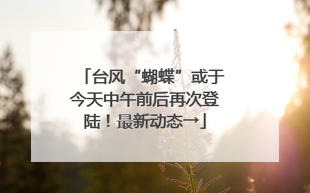 台风“蝴蝶”或于今天中午前后再次登陆！最新动态→