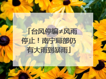 台风停编≠风雨停止！南宁局部仍有大雨到暴雨