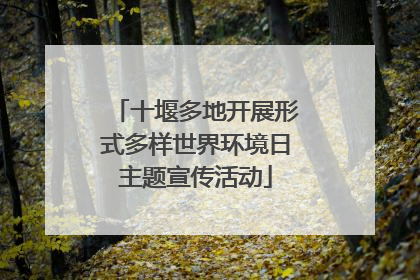 十堰多地开展形式多样世界环境日主题宣传活动