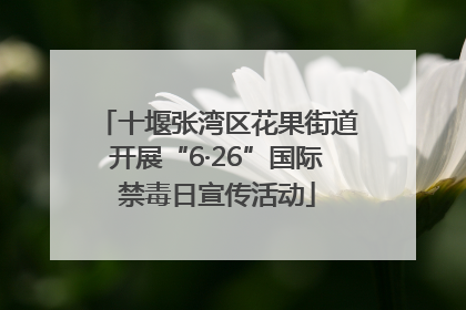 十堰张湾区花果街道开展“6·26”国际禁毒日宣传活动