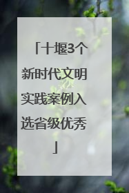 十堰3个新时代文明实践案例入选省级优秀
