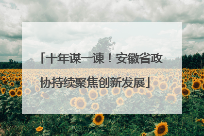 十年谋一谏！安徽省政协持续聚焦创新发展