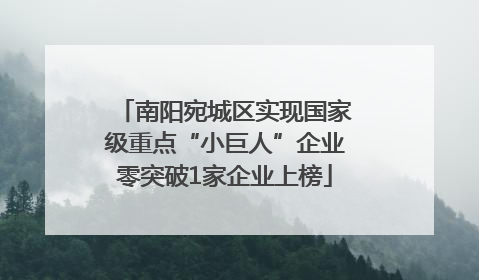 南阳宛城区实现国家级重点“小巨人”企业零突破1家企业上榜