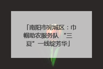 南阳市宛城区：巾帼助农服务队 “三夏”一线绽芳华