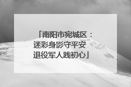 南阳市宛城区：迷彩身影守平安 退役军人践初心
