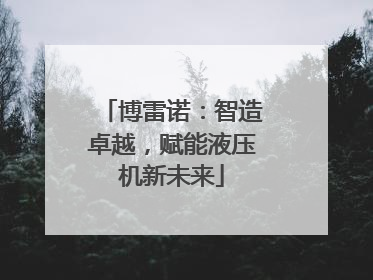 博雷诺：智造卓越，赋能液压机新未来