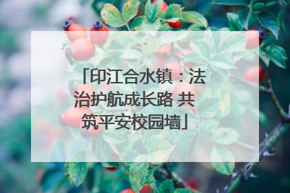 印江合水镇：法治护航成长路 共筑平安校园墙