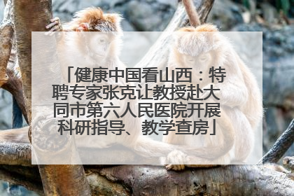 健康中国看山西：特聘专家张克让教授赴大同市第六人民医院开展科研指导、教学查房