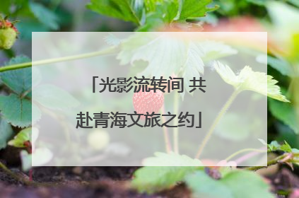 光影流转间 共赴青海文旅之约