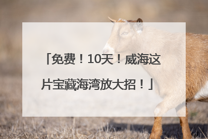 免费！10天！威海这片宝藏海湾放大招！