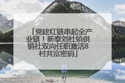 党建红链串起全产业链！新泰刘杜镇供销社双向任职激活8村共富密码