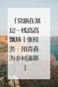 党旗在基层一线高高飘扬丨张桂芳：用青春为乡村添彩