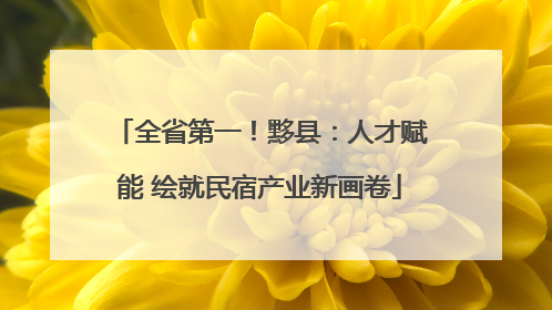 全省第一！黟县：人才赋能 绘就民宿产业新画卷