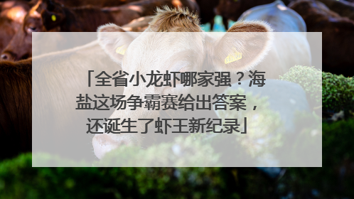 全省小龙虾哪家强？海盐这场争霸赛给出答案，还诞生了虾王新纪录