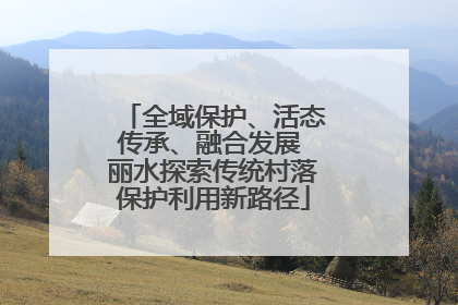 全域保护、活态传承、融合发展 丽水探索传统村落保护利用新路径