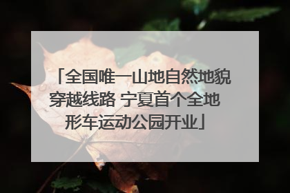 全国唯一山地自然地貌穿越线路 宁夏首个全地形车运动公园开业
