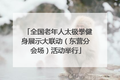 全国老年人太极拳健身展示大联动（东营分会场）活动举行