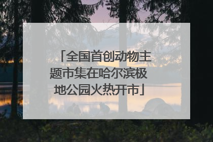 全国首创动物主题市集在哈尔滨极地公园火热开市