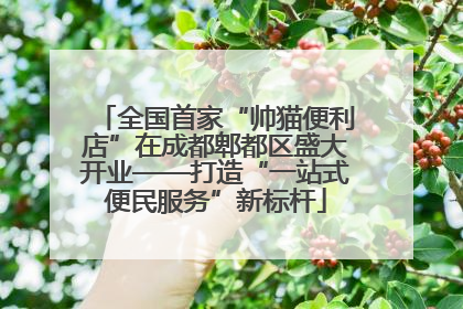 全国首家“帅猫便利店”在成都郫都区盛大开业——打造“一站式便民服务”新标杆
