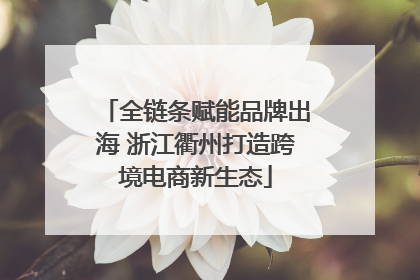 全链条赋能品牌出海 浙江衢州打造跨境电商新生态