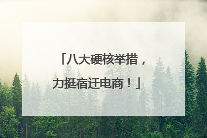 八大硬核举措，力挺宿迁电商！