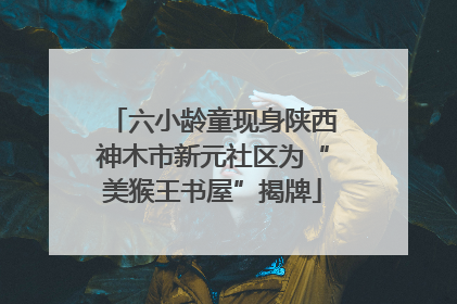 六小龄童现身陕西神木市新元社区为“美猴王书屋”揭牌