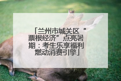 兰州市城关区“票根经济”点亮暑期：考生乐享福利 燃动消费引擎
