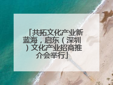 共拓文化产业新蓝海，启东（深圳）文化产业招商推介会举行