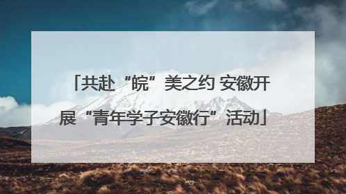 共赴“皖”美之约 安徽开展“青年学子安徽行”活动
