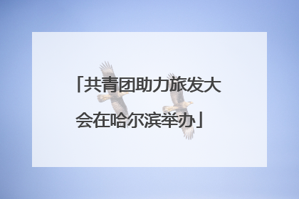 共青团助力旅发大会在哈尔滨举办