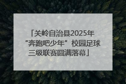 关岭自治县2025年“奔跑吧少年”校园足球三级联赛圆满落幕