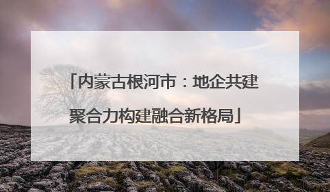 内蒙古根河市：地企共建聚合力构建融合新格局