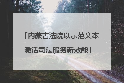 内蒙古法院以示范文本激活司法服务新效能