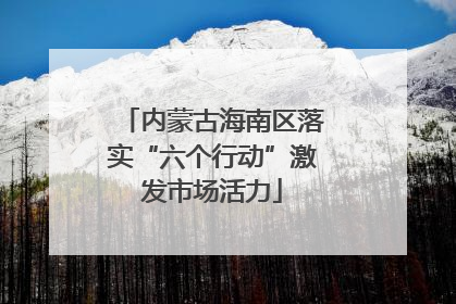 内蒙古海南区落实“六个行动”激发市场活力