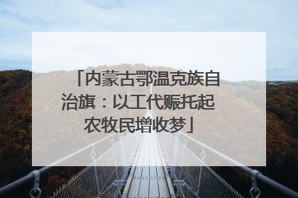 内蒙古鄂温克族自治旗：以工代赈托起农牧民增收梦