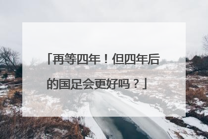 再等四年！但四年后的国足会更好吗？