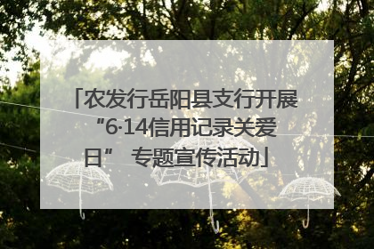 农发行岳阳县支行开展“6·14信用记录关爱日” 专题宣传活动