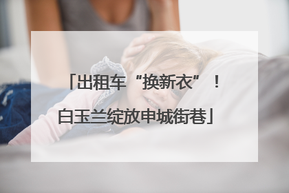 出租车“换新衣”！白玉兰绽放申城街巷
