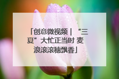 创意微视频｜“三夏”大忙正当时 麦浪滚滚穗飘香