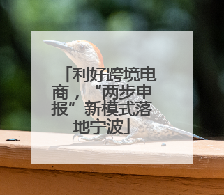 利好跨境电商，“两步申报”新模式落地宁波