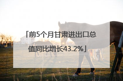 前5个月甘肃进出口总值同比增长43.2%