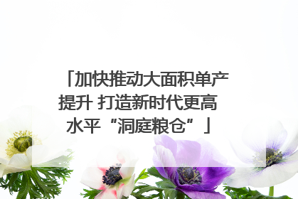 加快推动大面积单产提升 打造新时代更高水平“洞庭粮仓”