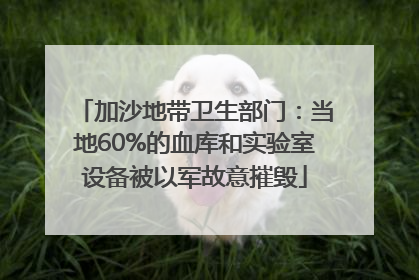 加沙地带卫生部门：当地60%的血库和实验室设备被以军故意摧毁