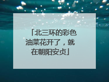 北三环的彩色油菜花开了，就在朝阳安贞