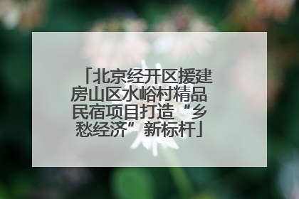 北京经开区援建房山区水峪村精品民宿项目打造“乡愁经济”新标杆
