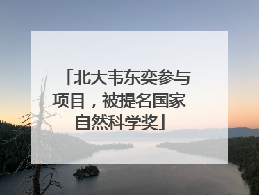 北大韦东奕参与项目，被提名国家自然科学奖