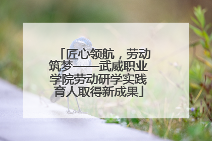 匠心领航，劳动筑梦——武威职业学院劳动研学实践育人取得新成果