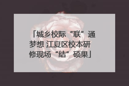 城乡校际“联”通梦想 江夏区校本研修现场“结”硕果